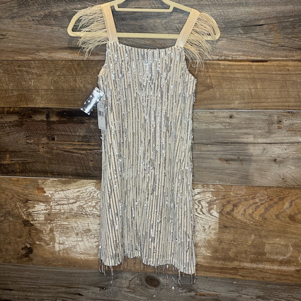 Xtraordinary Silver Sequin Fringe Mini Dress